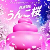 春っぽい事した