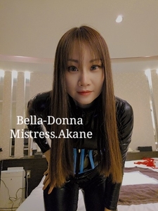 だからあまり見ない