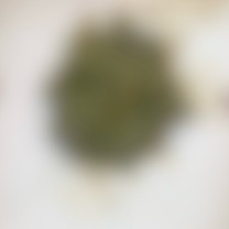 全身の臭い匂いと大量聖水と大量黄金で汚されて興奮したい