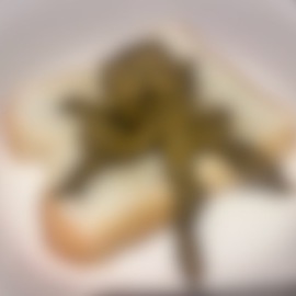 人間便器になって、惨め扱いされて、汚されて興奮したい