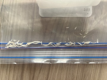 足の爪思いっきり切った〜!!╰(*´︶`*)╯♡