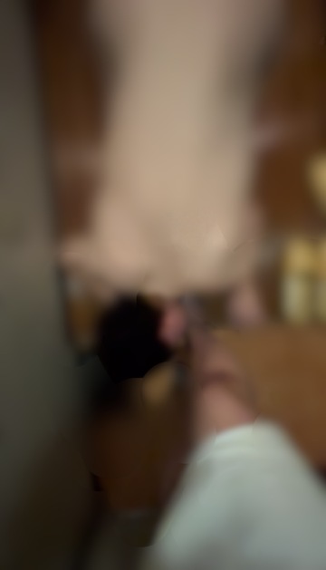 そろそろいつもの挨拶して🩷🩷🩷
