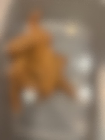 おならを嗅ぎ続けて、うんことおしっこに興奮したい