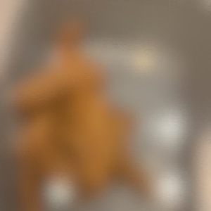 おならを嗅ぎ続けて、うんことおしっこに興奮したい