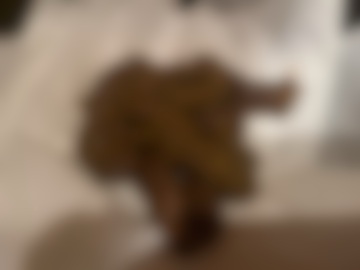 臭い匂い、大量のおしっこぶっかけられて、排便姿が見たい