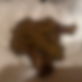 臭い匂い、大量のおしっこぶっかけられて、排便姿が見たい