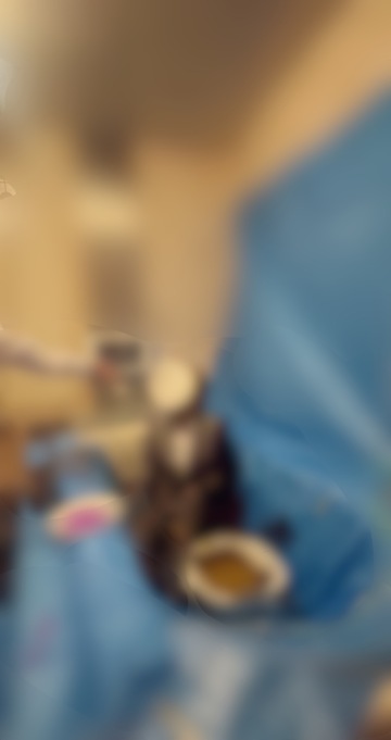 また罰ゲーム🩷パイ投げ〜🩷来週のお知らせ🩷