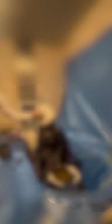 パイ投げしてそのまま顔にグリグリ🩷🩷🩷