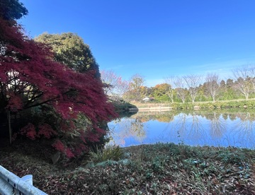 11月もありがとう🩷今月も宜しくお願いします(*^^*)