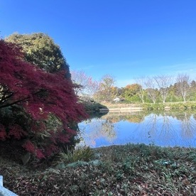 11月もありがとう🩷今月も宜しくお願いします(*^^*)