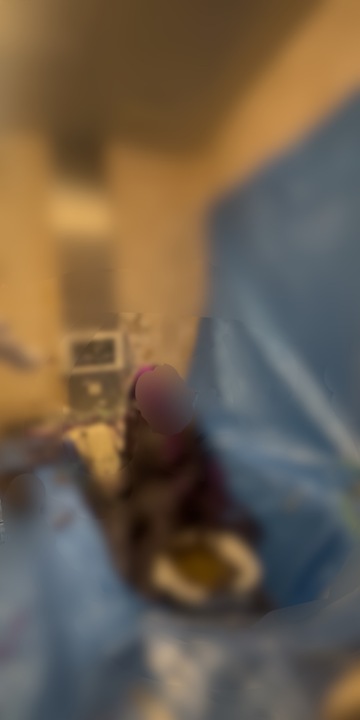 パイ投げのお皿頭にべっちょり付いちゃったね🩷🩷