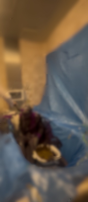 頭も紫まみれにしてハケ塗りしてあげる🩷🩷🩷