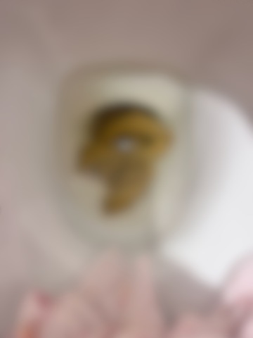 綺麗な形のうんこ見るとつい撮りたくなる!🩷笑