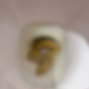 綺麗な形のうんこ見るとつい撮りたくなる！🩷笑