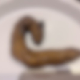 顔ベチャにされて、大量飲尿、食糞して、うんこを持って帰りたい