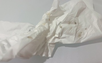 鼻のお掃除したら沢山出てきた???