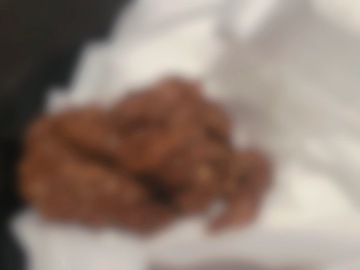 和式便所スタイルで、四つん這いでうんこ出されて興奮したい