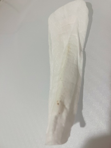 オリシーにうんこ少しついてた???