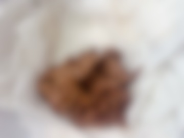 大量聖水とおならを見て、お互いの排便姿を見て興奮したい