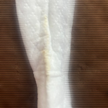 汚れたオリシー🩷来週のお知らせ(≧∀≦)🩷