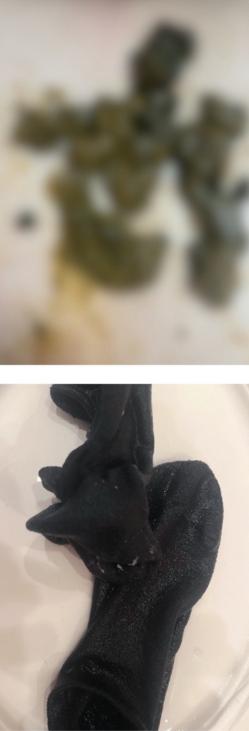 大量聖水で汚れた靴下、大量飲尿、大量黄金を食糞して塗られたい