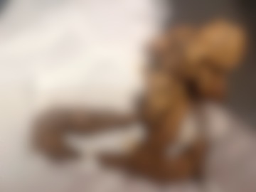 臭い匂いと極部の匂い嗅いで舐め掃除、大量聖水と大量黄金に興奮