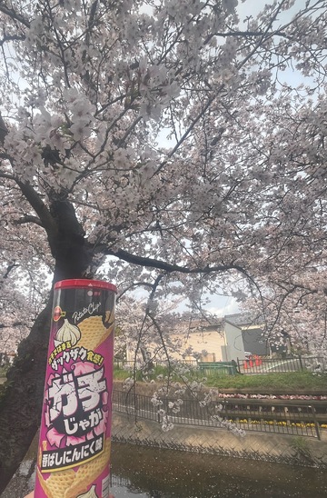 今月も爆裂ありがとうございます!!(*≧∀≦*)🩷🩷🩷