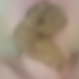 両腕を拘束、無理矢理舐め掃除と脱臭、大量黄金口に出されたい