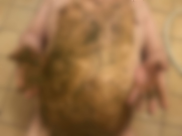 大量おならと大量聖水と大量黄金を口に入れて汚されたい