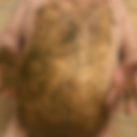 大量おならと大量聖水と大量黄金を口に入れて汚されたい