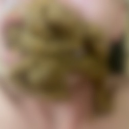 足とお尻で踏みつけられて、大量のおならとうんこを口に出された
