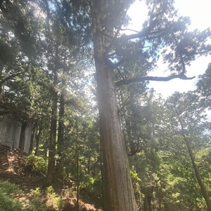 また山奥まで行った〜！🩷🩷🩷笑