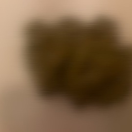 足とお尻で踏まれ、大量おならと大量聖水と大量黄金で汚されたい