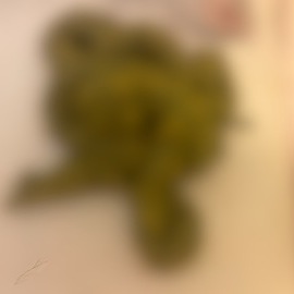 臭い匂いとおならを嗅ぎ続けて、おしっことうんこを出されて興奮