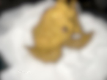 臭い下着とおなら、大量おしっことうんこに初めて興奮したい