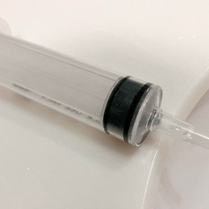 弟の変態がバレて、姉にお仕置きされる簡易ストーリーで興奮