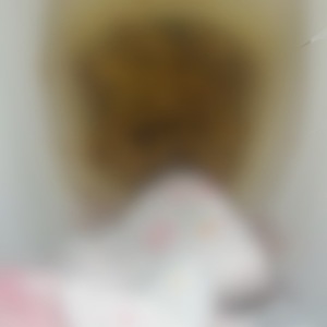 うんこ写真と来週のお知らせ（＾∇＾）🩷🩷