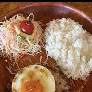 この仕事を始めた理由