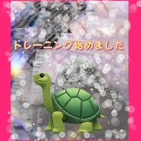 🐢オリジナルコース🐢