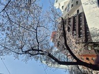 (タイトルなし)