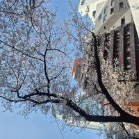 (タイトルなし)