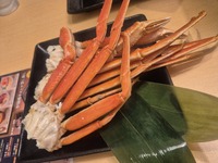 ご予約ありがとうございました🎶