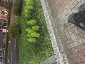 こんにちわ