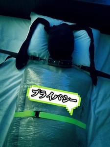 審議入りまーす