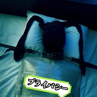 審議入りまーす