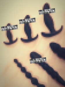 ねくすとあなるずとい