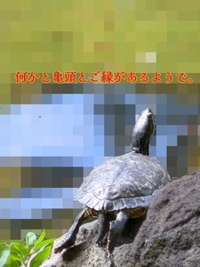 亀頭責めGメン？