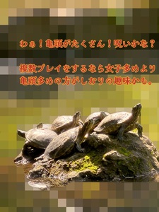 よろたの〜