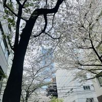 花盛りの変態たちへ
