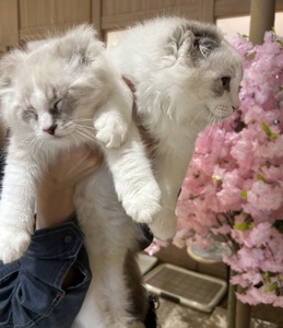 癒しをお裾分け